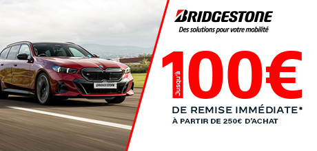 Bridge - Pal100