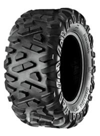Pneus BKT Sierra Max