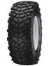 27852237-Caiman Renf