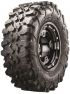 28141082-Carnivore ML1