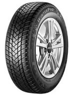 27230561-WinterPro 2